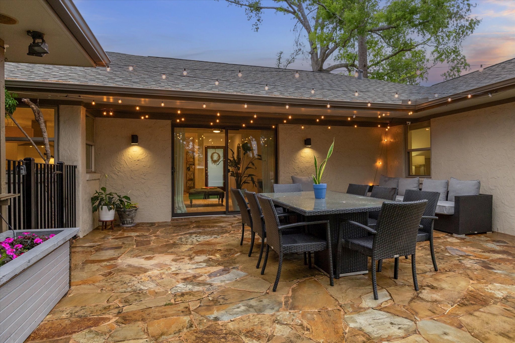 Backyard — turf lawn & oak tree